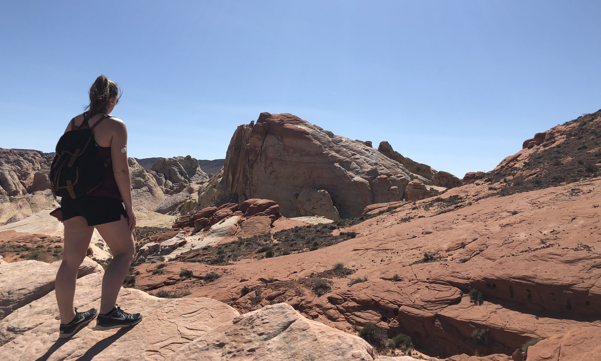 Valley of Fire Landscape Photo